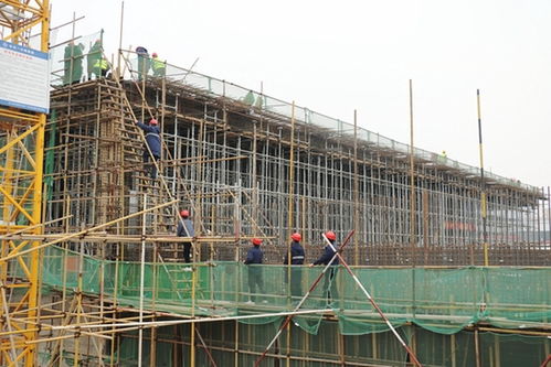 跑出加速度 河南省重点工程南曹污水处理厂箱体首块顶棚封顶，建筑智能化工程同步推进
